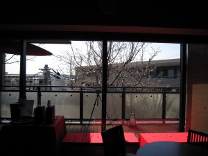 宮前平源泉 湯けむりの庄 バルコニーから見える桜 まだちらほら咲きでした