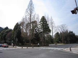 平中央公園 いわき駅から南へ10分ほど歩いたところにあります