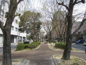 いわき市中心部にある柳の並木道 ここはもともと川が流れていたんでしょうか