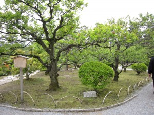 金沢 兼六園 梅林
