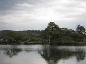 金沢 兼六園 唐崎松 霞ヶ池側から撮影