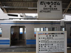 伊豆箱根鉄道 大雄山線 大雄山駅 駅名票