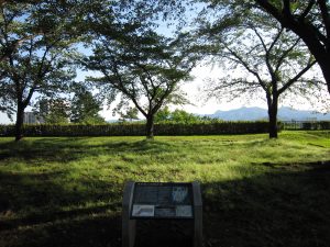盛岡城址公園 岩手公園 腰曲輪