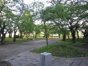 盛岡城址公園 岩手公園 淡路丸