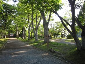 盛岡城址公園 岩手公園 二ノ丸付近 奥が本丸 手前が三ノ丸