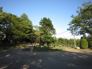 盛岡城址公園 岩手公園 三ノ丸付近