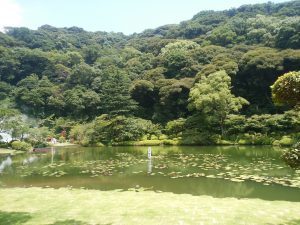 鉄輪温泉 地獄めぐり 海地獄 熱帯性睡蓮の池