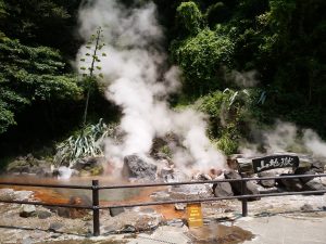 鉄輪温泉 地獄めぐり 山地獄 下から90℃の熱湯が噴出しています