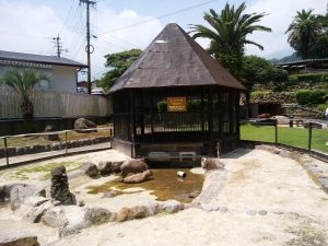 鉄輪温泉 地獄めぐり 山地獄 ミニ動物園 カピバラ