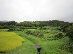 JR土讃線 須崎→窪川の車窓 須崎駅周辺を除いて、山の中だったりします