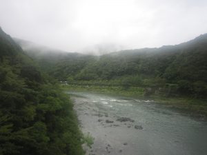 JR予土線 若井→半家の車窓 四万十川がきれいですね