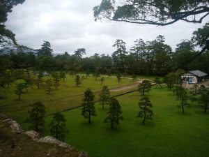 松江城 芝生の中に松が点々と植えられています