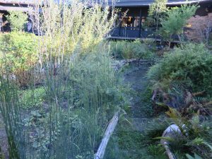 杉戸天然温泉 雅樂の湯 中庭