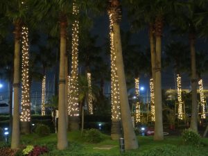 舞浜ユーラシア 夜のロータリー Canon PowerShot G9Xで撮影