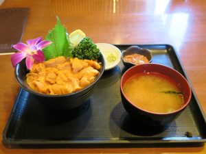 うに丼 小樽 うろこ亭にて