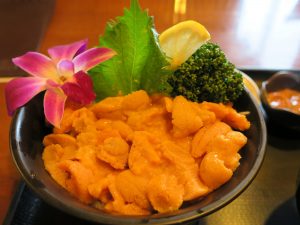 うに丼 小樽 うろこ亭にて