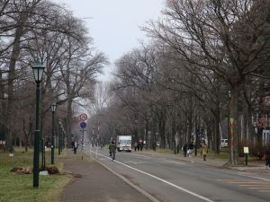 北海道大学 構内