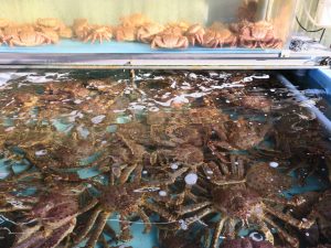 函館朝市 毛ガニとタラバガニ