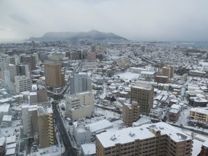 五稜郭公園 五稜郭タワー 展望台からの景色 函館駅方向を撮影