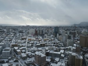 五稜郭公園 五稜郭タワー 展望台からの景色 津軽海峡方向を撮影