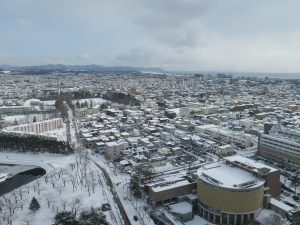 五稜郭公園 五稜郭タワー 展望台からの景色 湯の川温泉方向を撮影