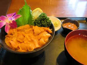 うに丼 小樽 うろこ亭にて