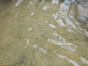熱海温泉 足湯 家康の湯 お湯は無色透明です
