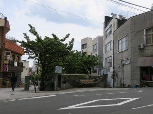 熱海 本町商店街バス停 ここが桜通りです
