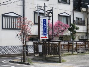 戸倉上山田温泉 かめ乃湯 メインストリート沿いの看板