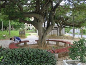 沖縄県 那覇市 国際通り 牧志公園