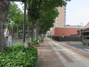 群馬県前橋市のメインストリート けやき通り JR前橋駅付近