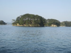 松島一周観光船から どの島も緑がきれいですね