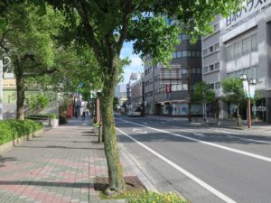 佐賀市のメインストリート 確かに、田舎っぽさはないのですが・・・