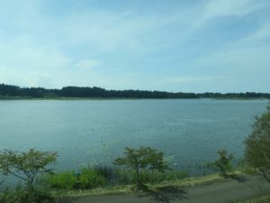 リゾートしらかみからの車窓 湿地帯が広がります