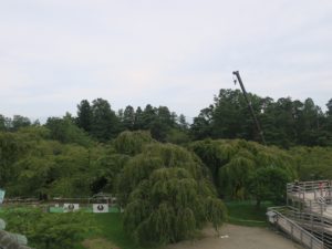 弘前城 天守閣からの景色 東側