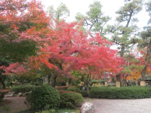 岐阜公園 公園内の紅葉