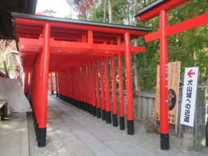 三光稲荷神社 千本鳥居? これが犬山城への近道らしいです