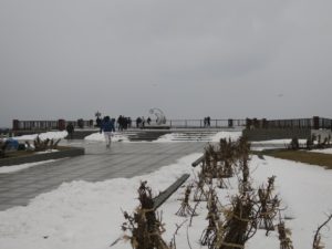 ノシャップ岬 稚内恵山泊漁港公園 全景