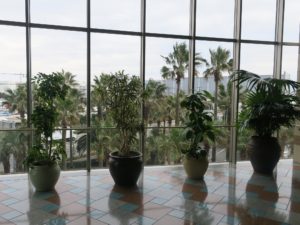 舞浜ユーラシア 3階エレベーターホール