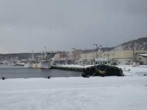 北海道稚内市 稚内漁港