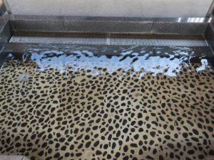 飯坂温泉 旧堀切邸 足湯 無色透明のお湯です