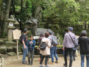 春日大社 伏鹿手水所