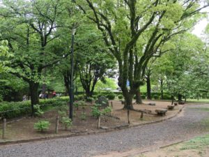 和歌山城 二の丸跡 現在では二の丸広場という公園になっています