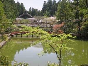 高野山 壇上伽藍 蓮池