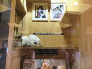 和歌山電鐵貴志川線 貴志川駅 たま駅長