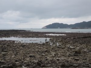 宮崎市 青島 鬼の洗濯板 日南方向を撮影