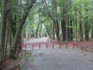 宮崎神宮 人以外の立ち入りは禁止です