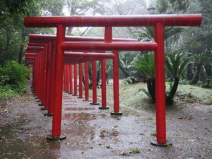 五所稲荷神社 鳥居