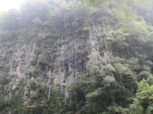 宮崎県 高千穂峡 仙人の屏風岩 高さは約70mあるそうです