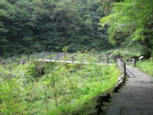 宮崎県 高千穂峡 槍飛橋